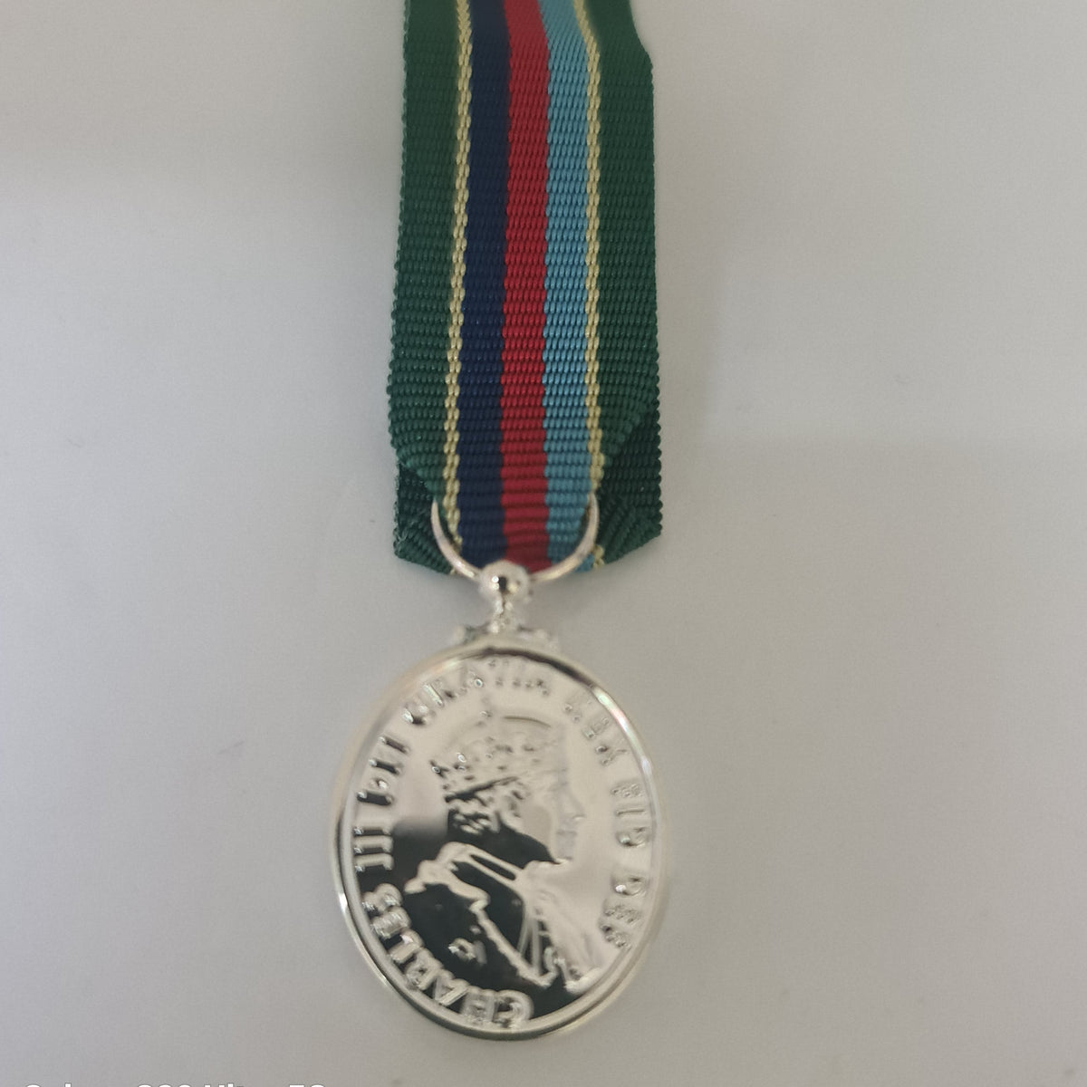 Kings VRSM Medal with a green ribbon featuring red and blue stripes on a light gray background