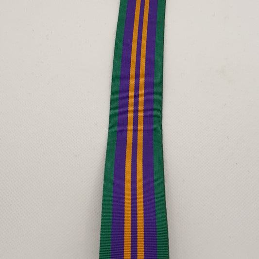 ACSM  2011 Medal Ribbon